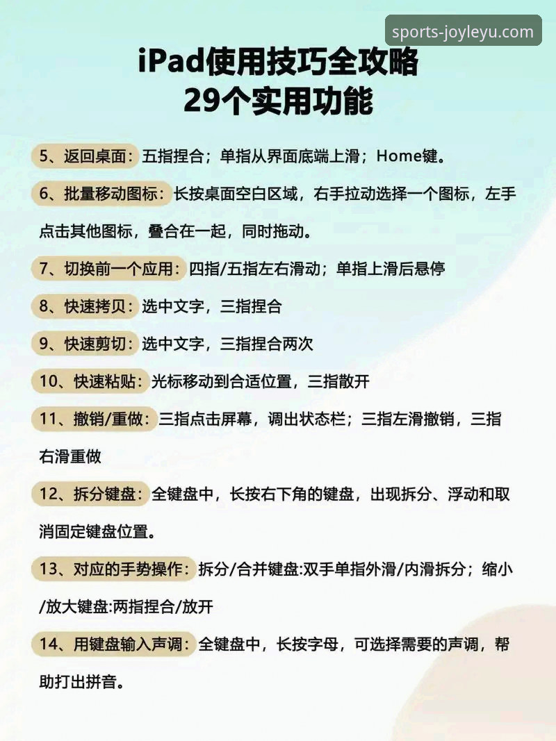 乐鱼体育平台使用教程：从下载安装到功能深度探索的操作指南